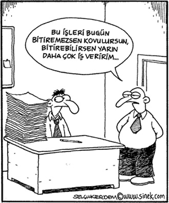 İş hayatı