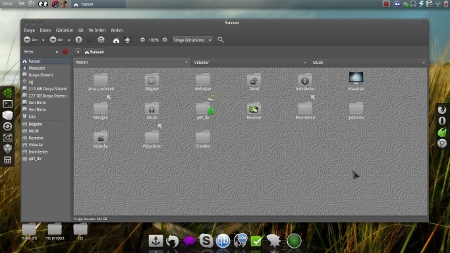 masaustum2_ubuntu_maverick_nautilus