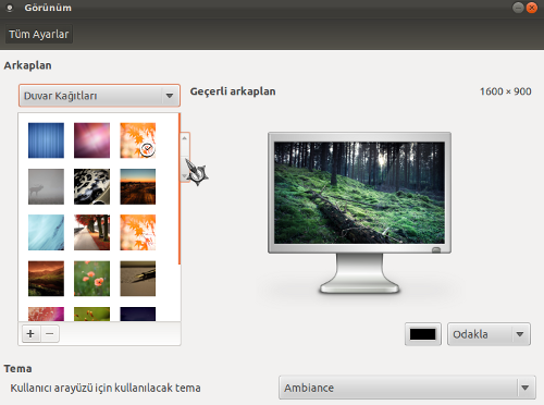 Ubuntu 11.10 - Görünüm