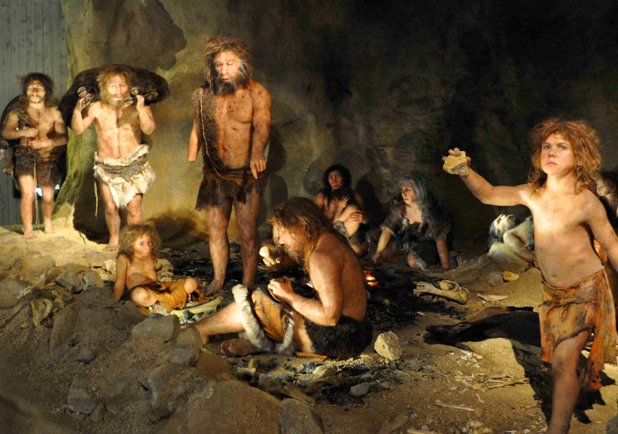 Sapiens Neanderthals