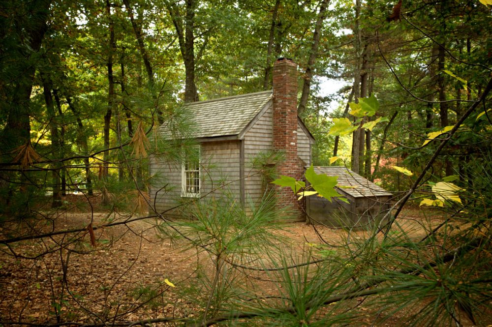 Henry David Thoreau